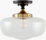 Forvian Iron Pendant Light, Powder Coated Black