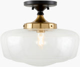 Forvian Iron Pendant Light, Powder Coated Black