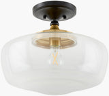 Forvian Iron Pendant Light, Powder Coated Black