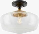 Forvian Iron Pendant Light, Powder Coated Black