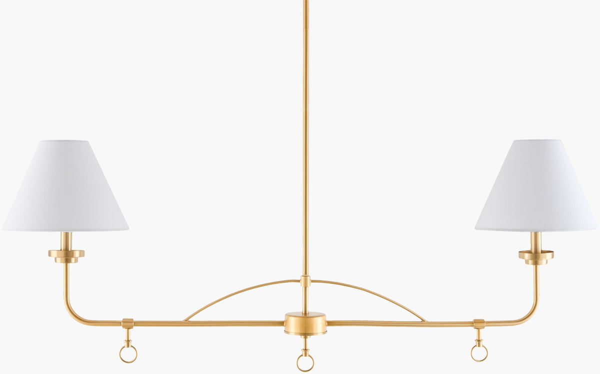 The Channy Iron Pendant Light, Electroplated Metallic Brass
