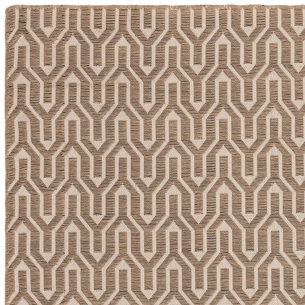 Global Rug styled in a living room