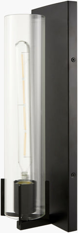 Galve 18" Iron Wall Sconce, Painted Black, Natural Clear