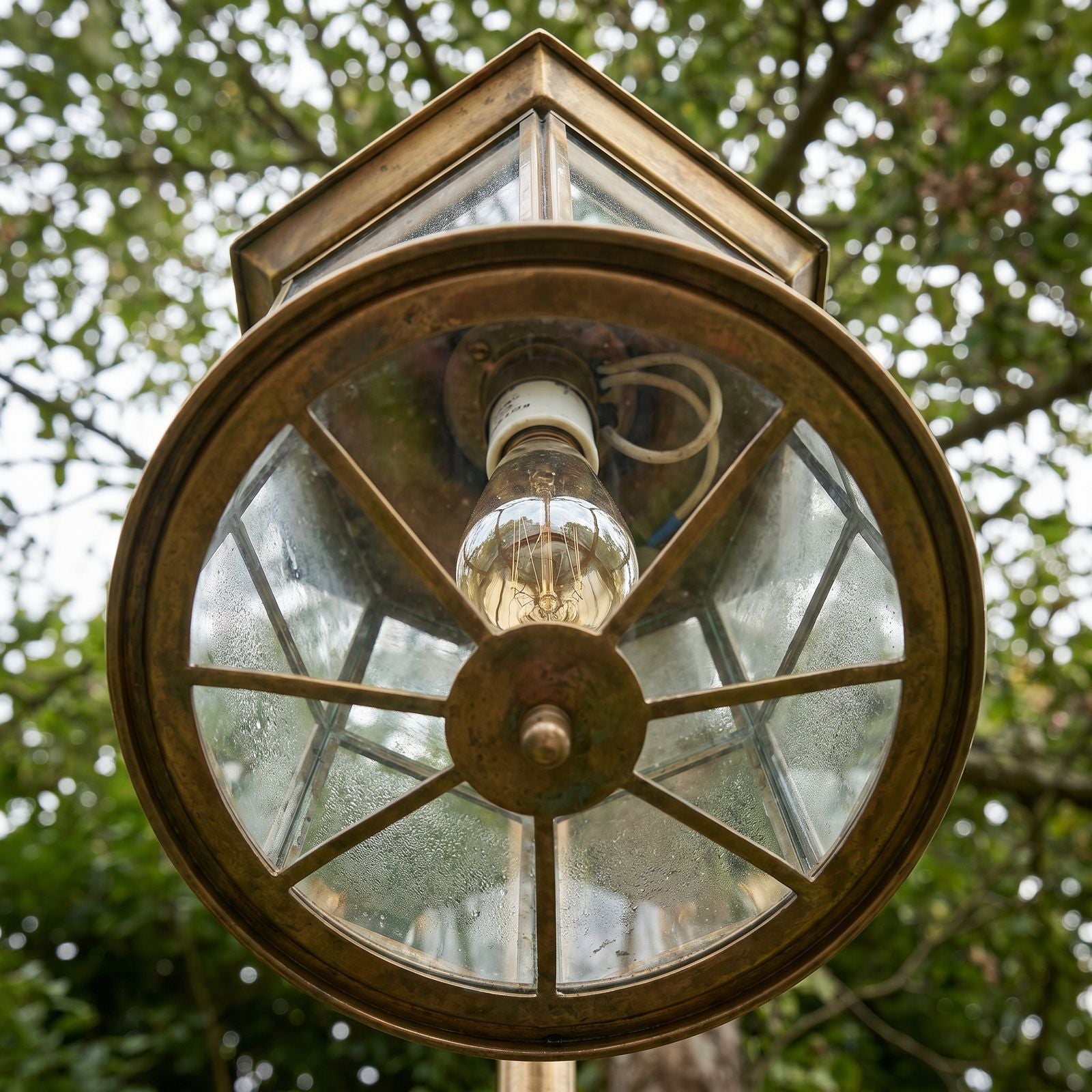 Hanging Garden Lantern - Alternate Angle