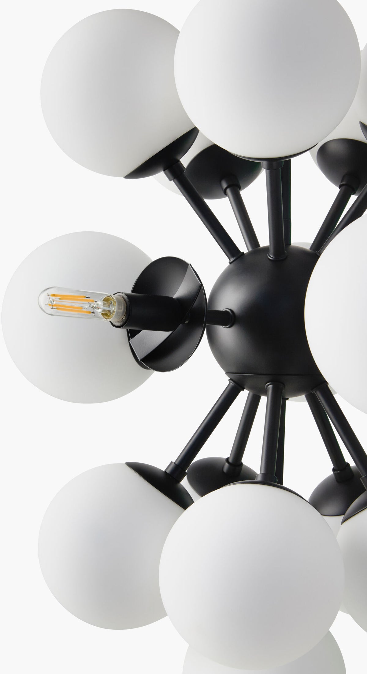 Liora Iron Chandelier, Powder Coated Black