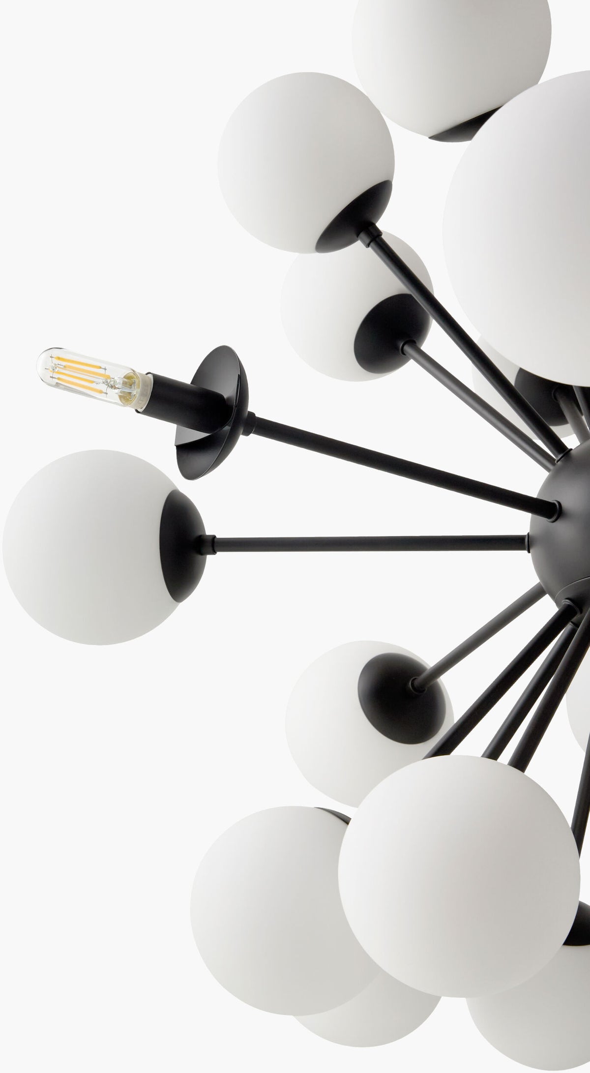 Liora Iron Chandelier, Powder Coated Black (LIO-005)