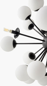 Liora Iron Chandelier, Powder Coated Black (LIO-005)