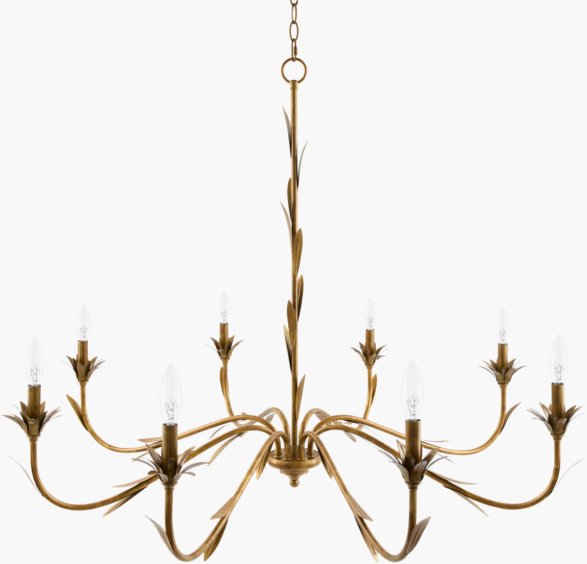 Lustre Iron Chandelier, Powder Coated Gold (LSTR-008)