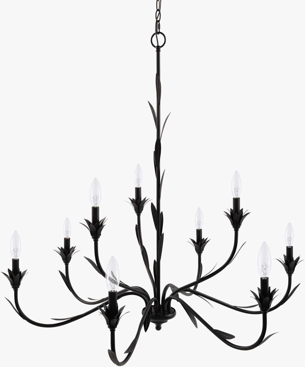 Lustre Iron Chandelier, Powder Coated Black (LSTR-009)