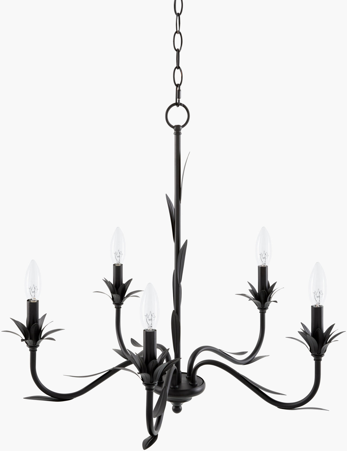 Lustre Iron Chandelier, Powder Coated Black (LSTR-011)