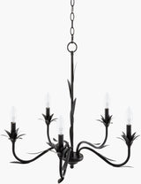 Lustre Iron Chandelier, Powder Coated Black (LSTR-011)