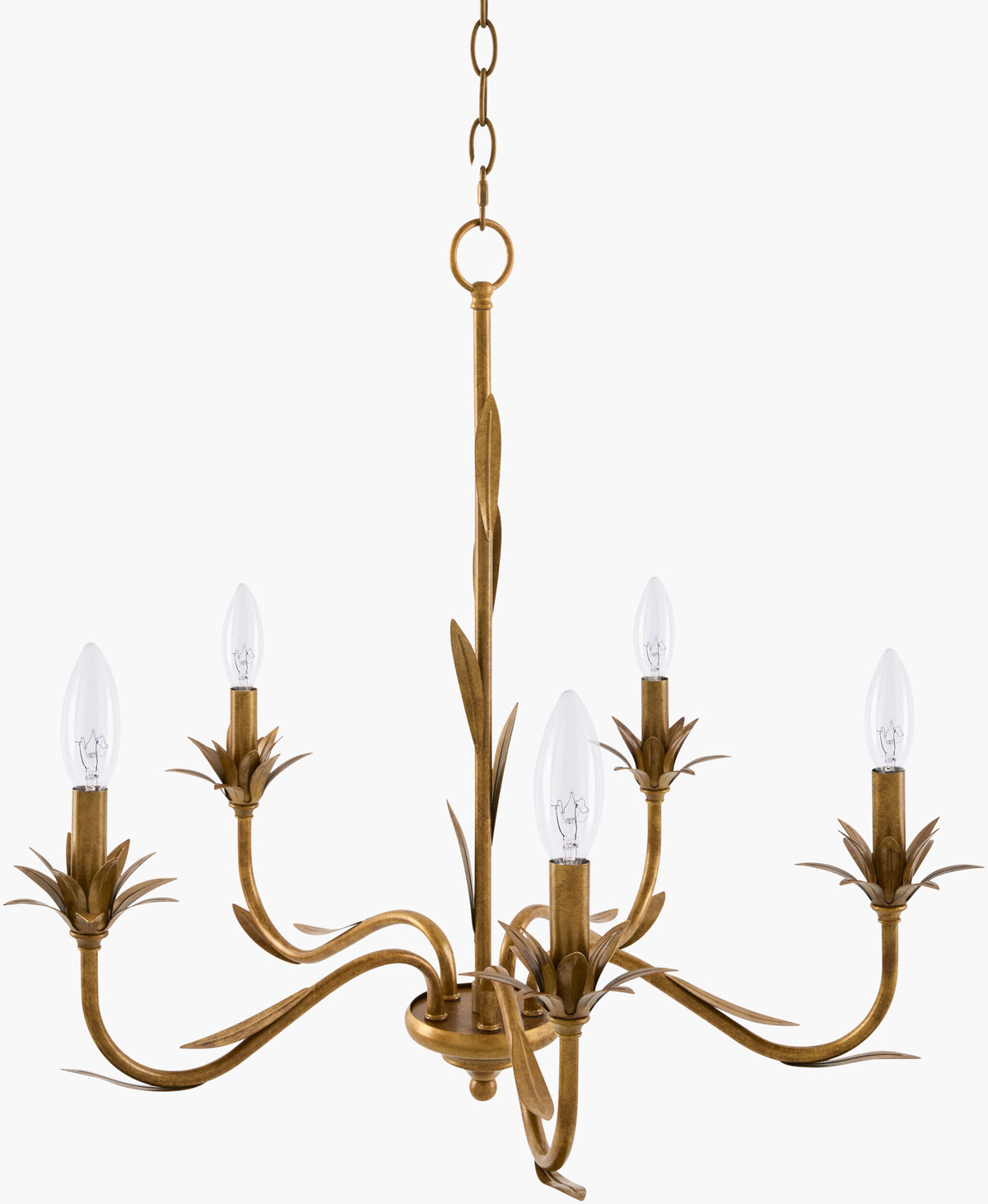 Lustre Iron Chandelier, Powder Coated Gold (LSTR-012)
