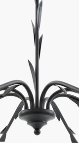 Lustre Iron Chandelier, Powder Coated Black (LSTR-007)