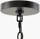 Lustre Iron Chandelier, Powder Coated Black (LSTR-007)
