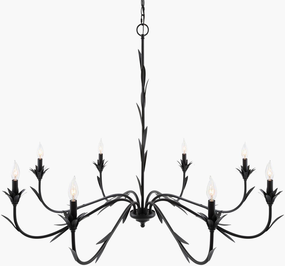 Lustre Iron Chandelier, Powder Coated Black (LSTR-007)