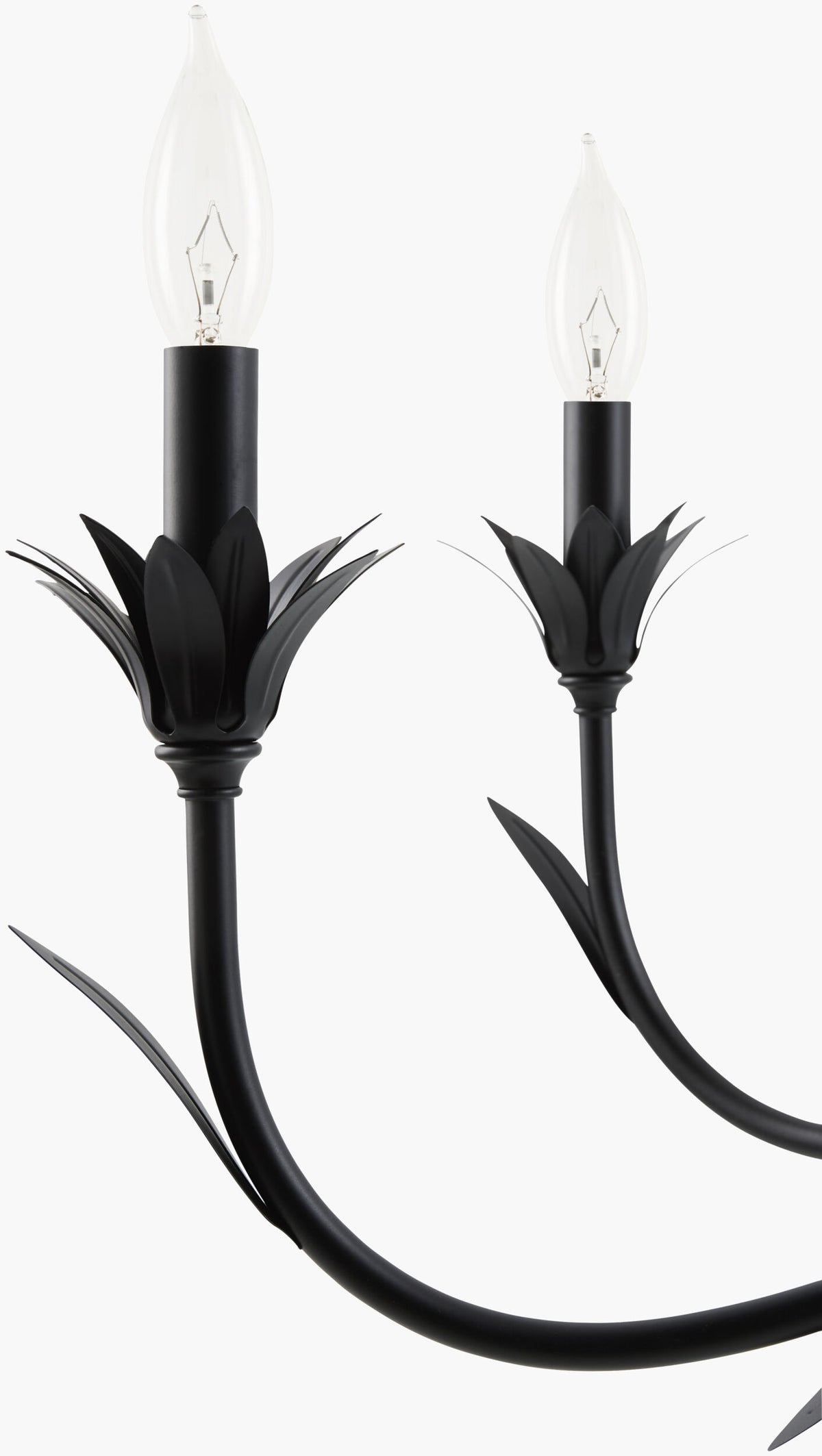 Lustre Iron Chandelier, Powder Coated Black (LSTR-007)