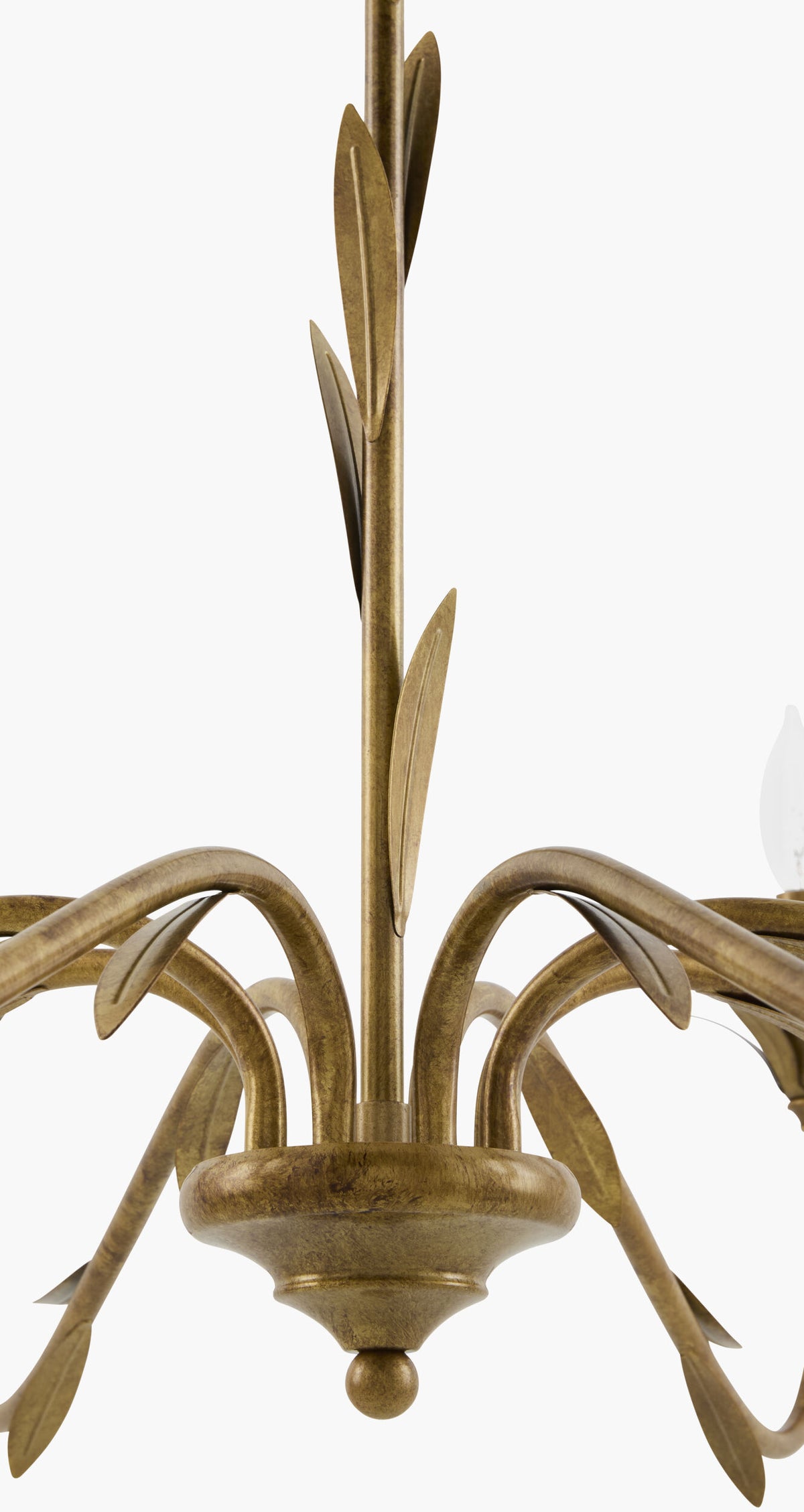 Lustre Iron Chandelier, Powder Coated Gold (LSTR-008)