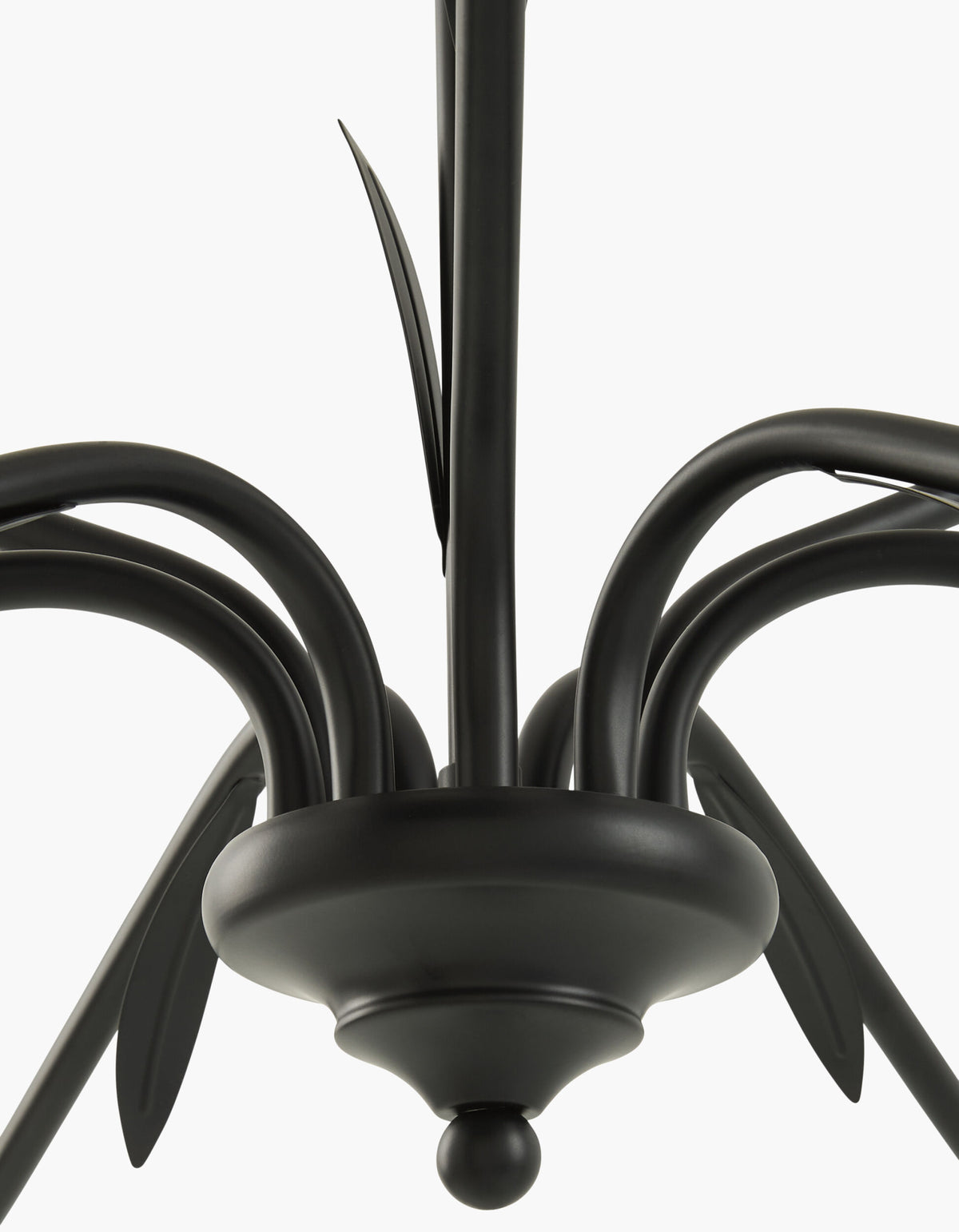 Lustre Iron Chandelier, Powder Coated Black (LSTR-009)