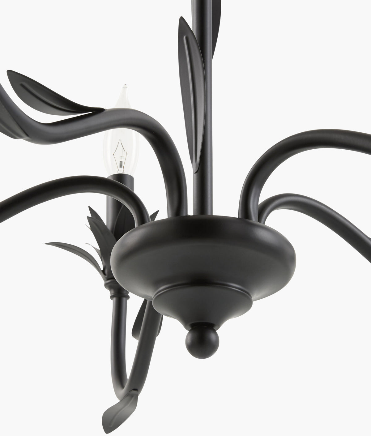 Lustre Iron Chandelier, Powder Coated Black (LSTR-011)