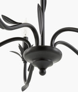 Lustre Iron Chandelier, Powder Coated Black (LSTR-011)