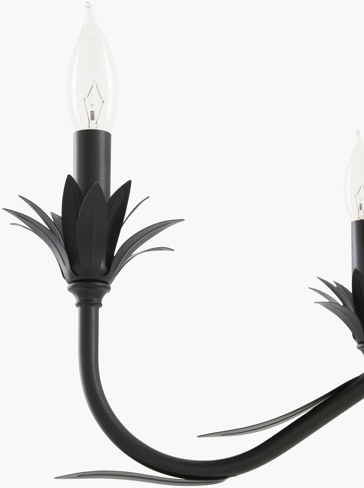 Lustre Iron Chandelier, Powder Coated Black (LSTR-011)
