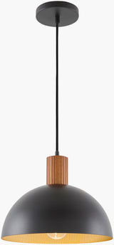 Lexia Aluminum Pendant Light, Painted Black