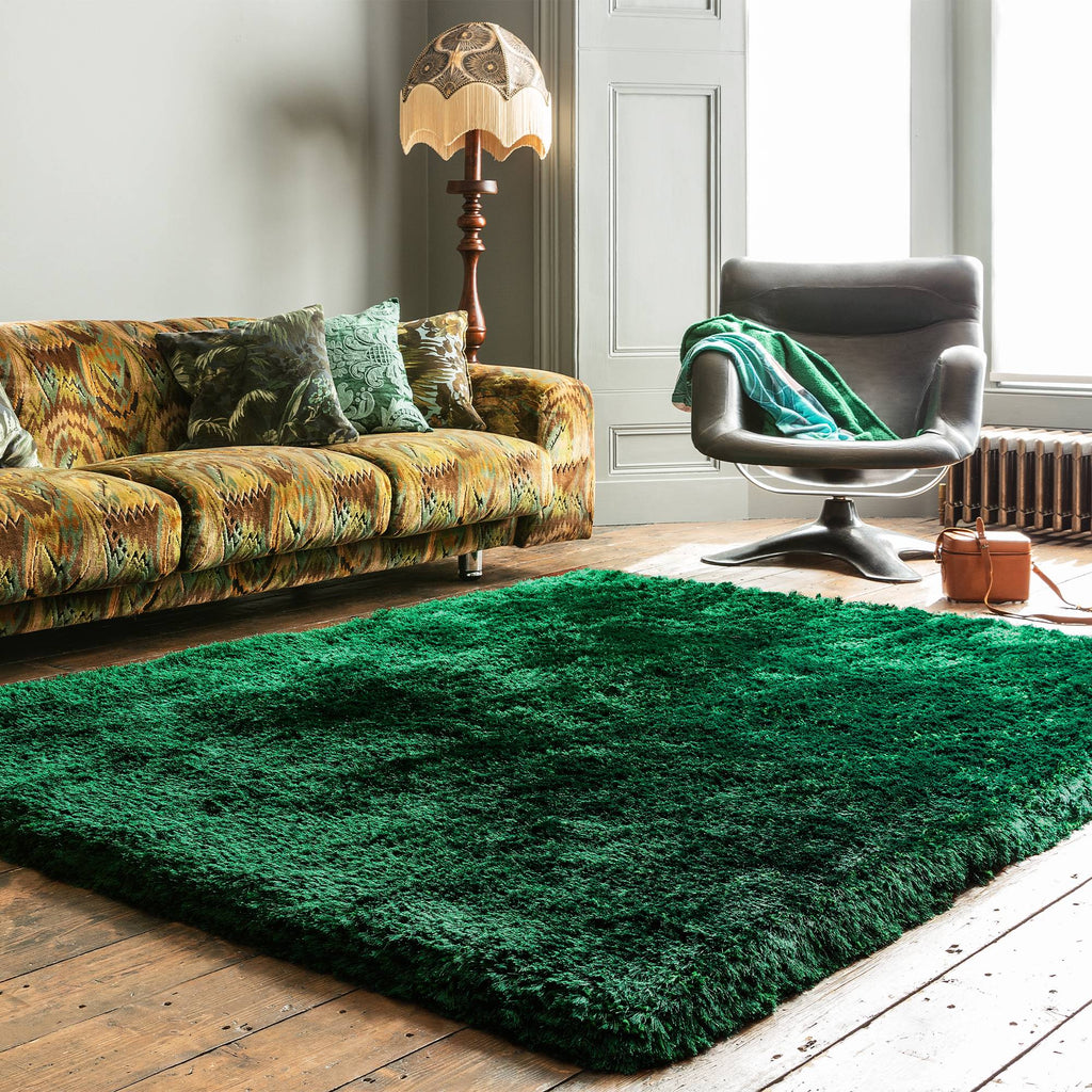 Plush Rug styled in a living room