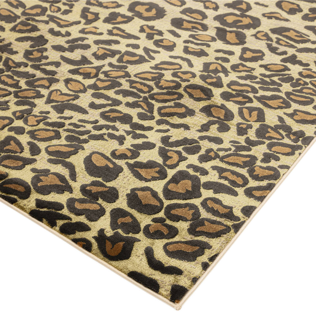 Quantum Rug styled in a living room