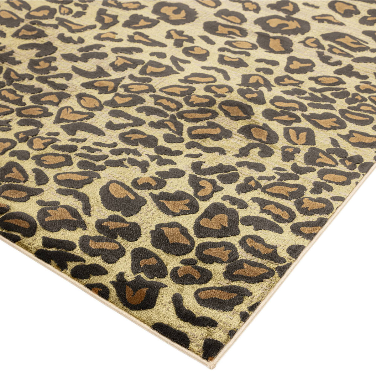 Quantum Rug styled in a living room