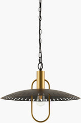 Seget Iron Pendant Light, Painted Black