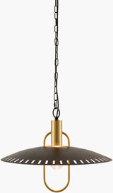Seget Iron Pendant Light, Painted Black