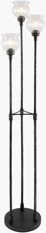 Sergio 68" Iron Floor Lamp, Painted Silver Gray