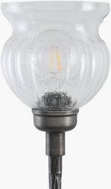 Sergio 68" Iron Floor Lamp, Painted Silver Gray