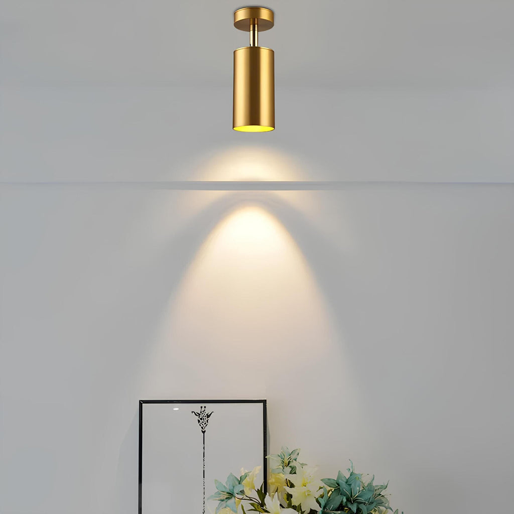 Olenia - Adjustable Modern LED Ceiling Lamp with Rotating Arms