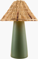 Vikundu 20" Ceramic Table Lamp, Hand Painted Dark Green