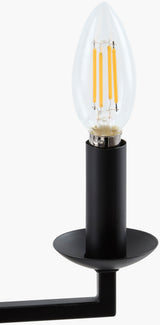 Vespera Iron Chandelier, Powder Coated Black