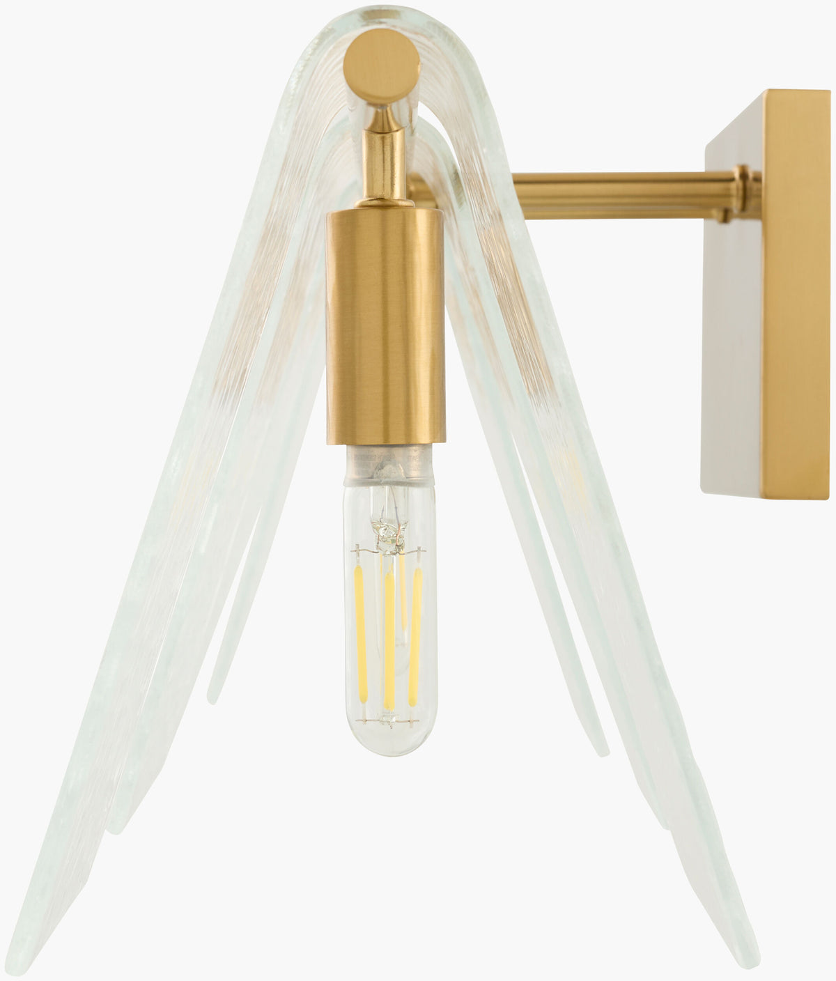Vitracis 8" Iron Wall Sconce, Electroplated Metallic Brass