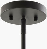 Vitracis Iron Pendant Light, Powder Coated Black