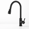 Kitchen Faucet With Pull-Out Spout And Spray Function