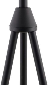 Yalata 62" Iron Floor Lamp, Hand Painted Black