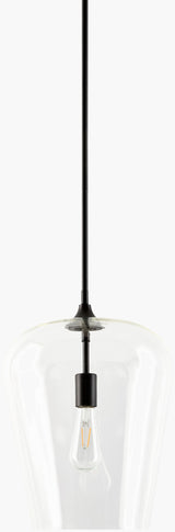 Yueva Iron Pendant Light, Powder Coated Black (YUEV-027)