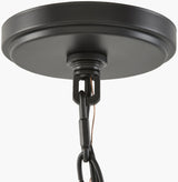 Yueva Iron Chandelier, Powder Coated Black (YUEV-003)