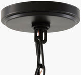 Yueva Iron Pendant Light, Powder Coated Black (YUEV-013)