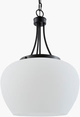 Yueva Iron Pendant Light, Powder Coated Black (YUEV-013)