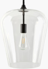 Yueva Iron Pendant Light, Powder Coated Black (YUEV-027)