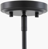 Yueva Iron Pendant Light, Powder Coated Black