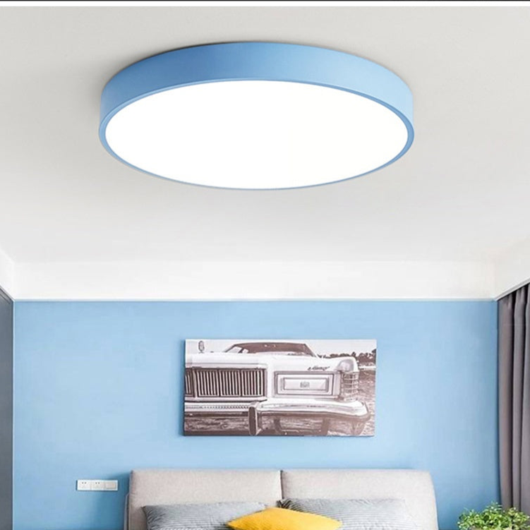Nordic Wooden Macaron Circular Flush Mount